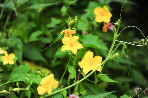 oa辦公系統(tǒng)