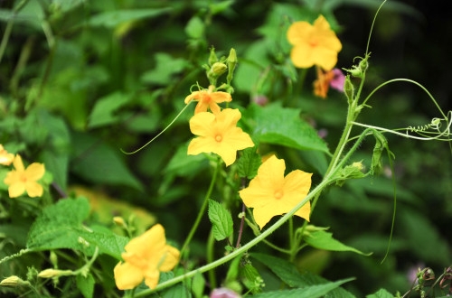 oa辦公系統(tǒng)的功能和作用你知道多少