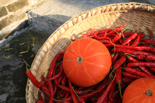 OA辦公系統(tǒng)