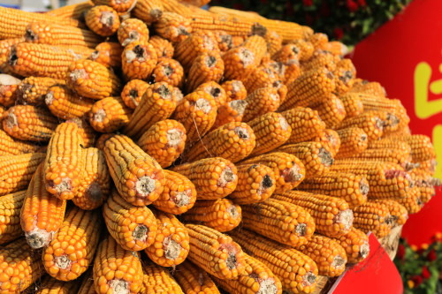 裝修app開(kāi)發(fā)