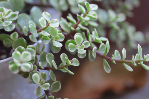 oa辦公系統(tǒng)