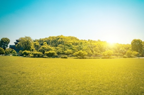 協(xié)同在線文檔OA辦公系統(tǒng)開發(fā)的重要性