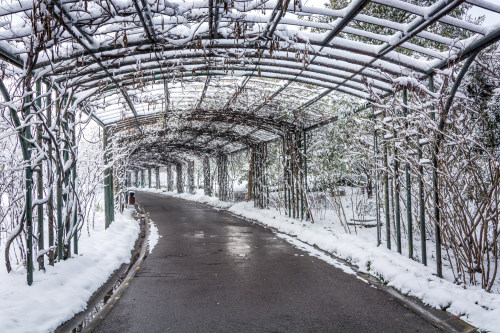 微信小程序開(kāi)發(fā)