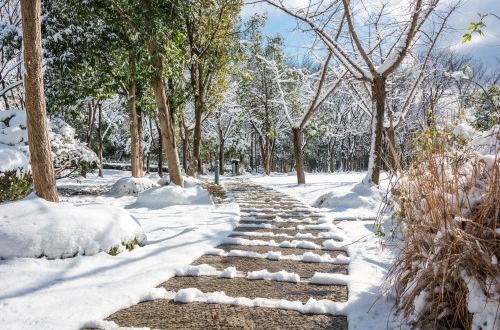 政府單位協(xié)同OA辦公系統(tǒng)解決方案