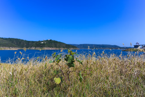 廈門(mén)小程序開(kāi)發(fā)