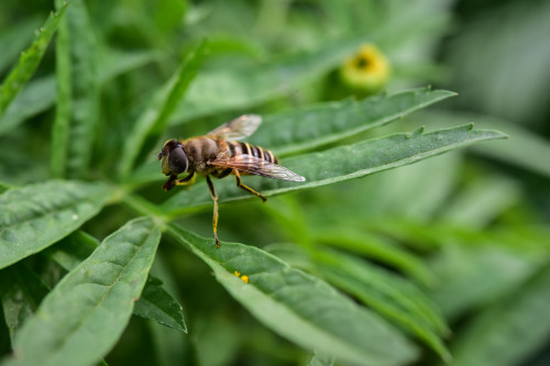 小程序定制開發(fā)