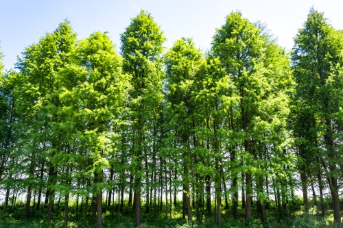 濟南小程序開發(fā)